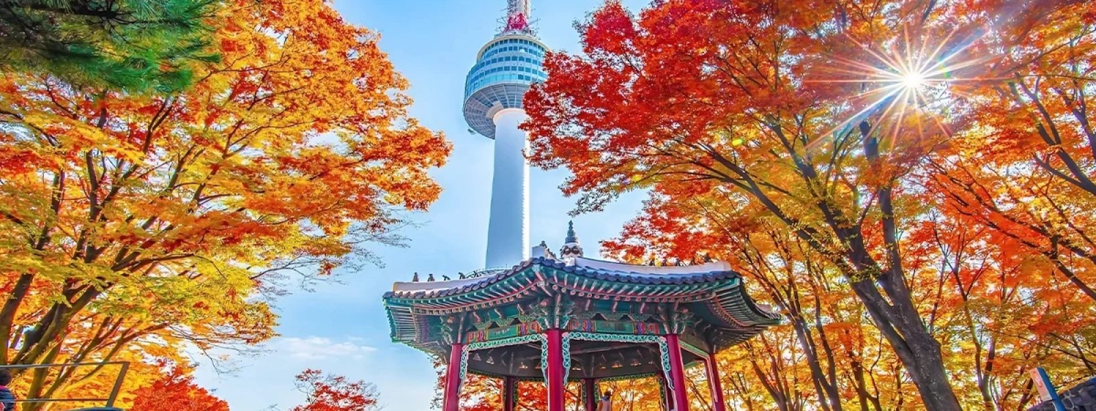Japan Tour